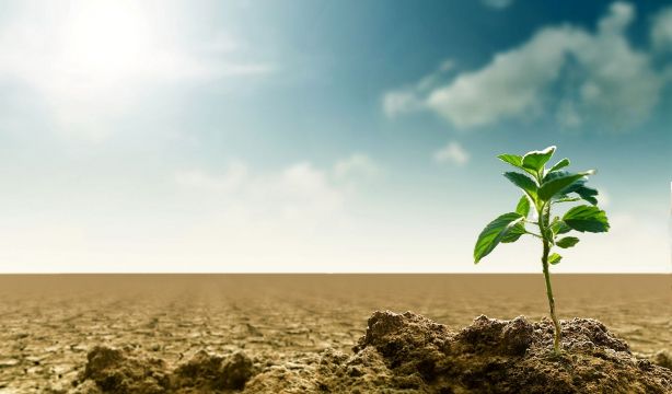 El cambio climático multiplica la amenaza causada por la resistencia a los antibióticos (Big Stock)