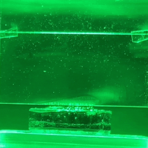 La luz puede evaporar el agua sin necesidad de calor (Europa Press) La luz puede evaporar el agua sin necesidad de calor (Europa Press)