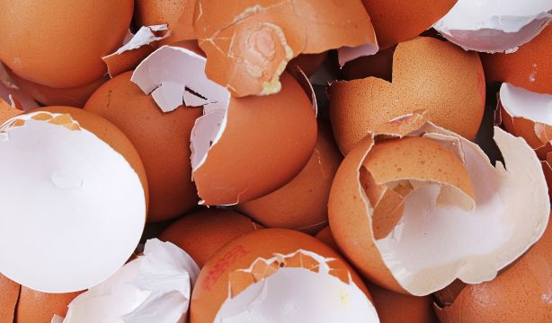 Descubren el poder cicatrizante de la membrana de la cáscara de huevo