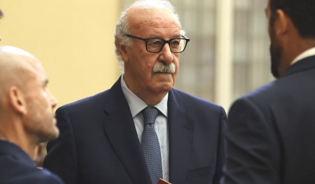 Vicente del Bosque presidirá la comisión del Gobierno que supervisará la RFEF