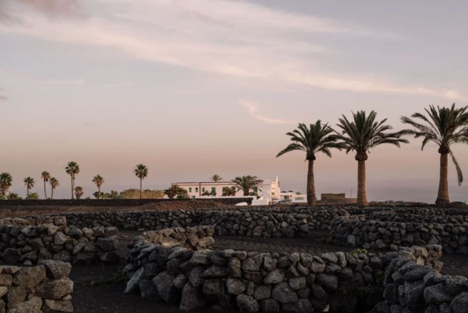 https://numasignature.com/en/cesar-lanzarote https://numasignature.com/en/cesar-lanzarote