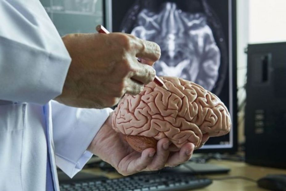 Investigadores españoles identifican una nueva forma genética del alzhéimer