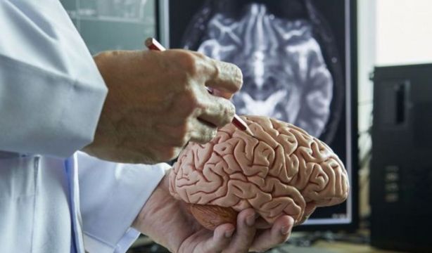 Investigadores españoles identifican una nueva forma genética del alzhéimer
