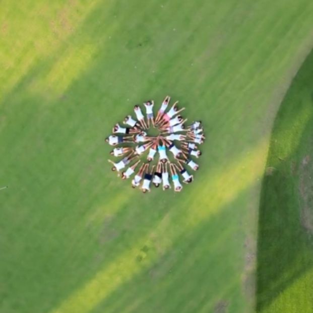 viaje viral familia viaje viral familia