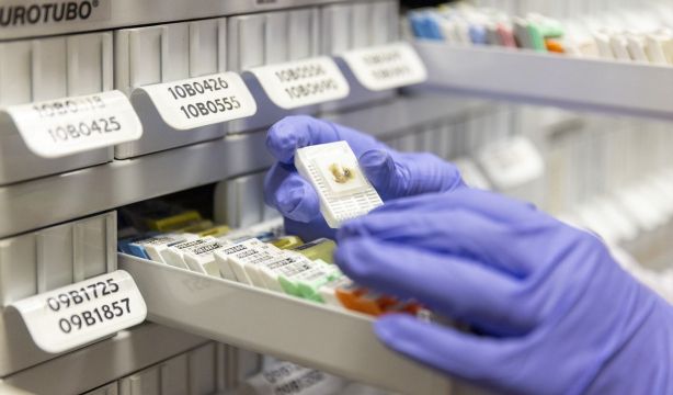 La 'máquina de leer genes' del CNIO ayudará a mejorar la prevención y el diagnóstico del cáncer (Europa Press)