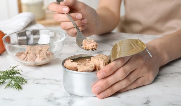 Latas de conservas: ¿mejor en aceite de oliva, de girasol o al natural?