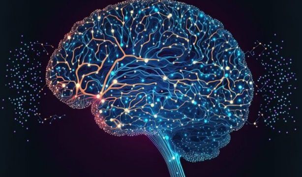 El ejercicio físico ayuda a decelerar deterioro cognitivo (Europa Press) El ejercicio físico ayuda a decelerar deterioro cognitivo (Europa Press)