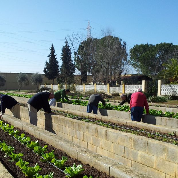 Mayores presos en un taller de jardinería en el Centro Sevila I. Mayores presos en un taller de jardinería en el Centro Sevila I.