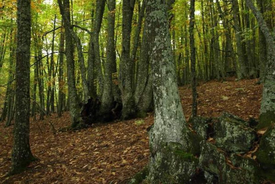 Fuente, Turismo Castilla y Leon Fuente, Turismo Castilla y Leon