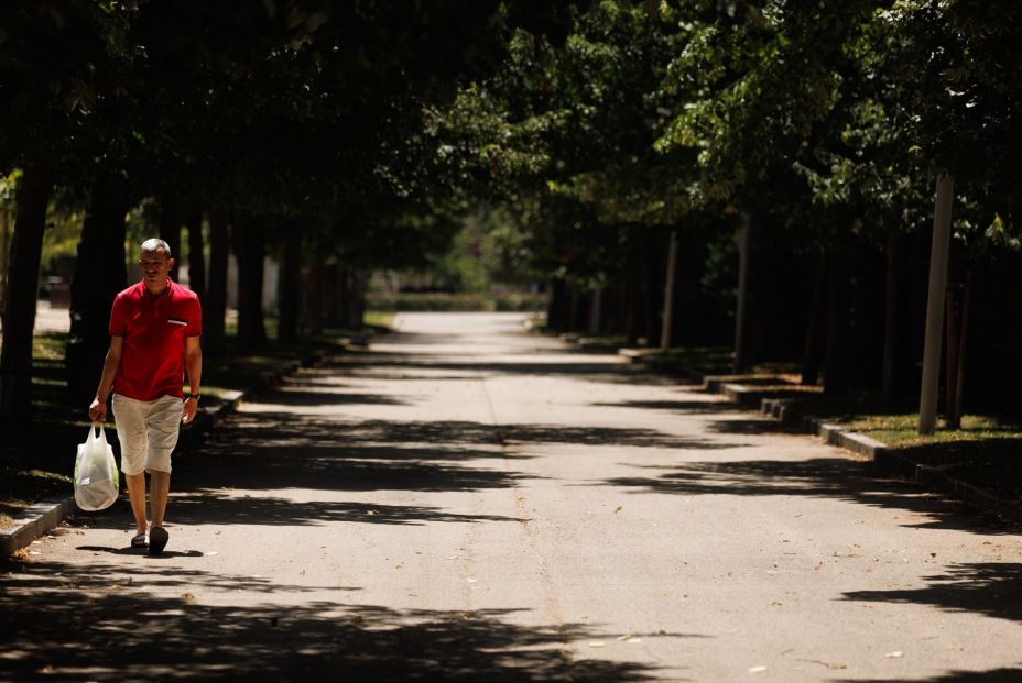 Vivir en zonas verdes mejora la salud cardiovascular de las personas mayores (Europa Press)
