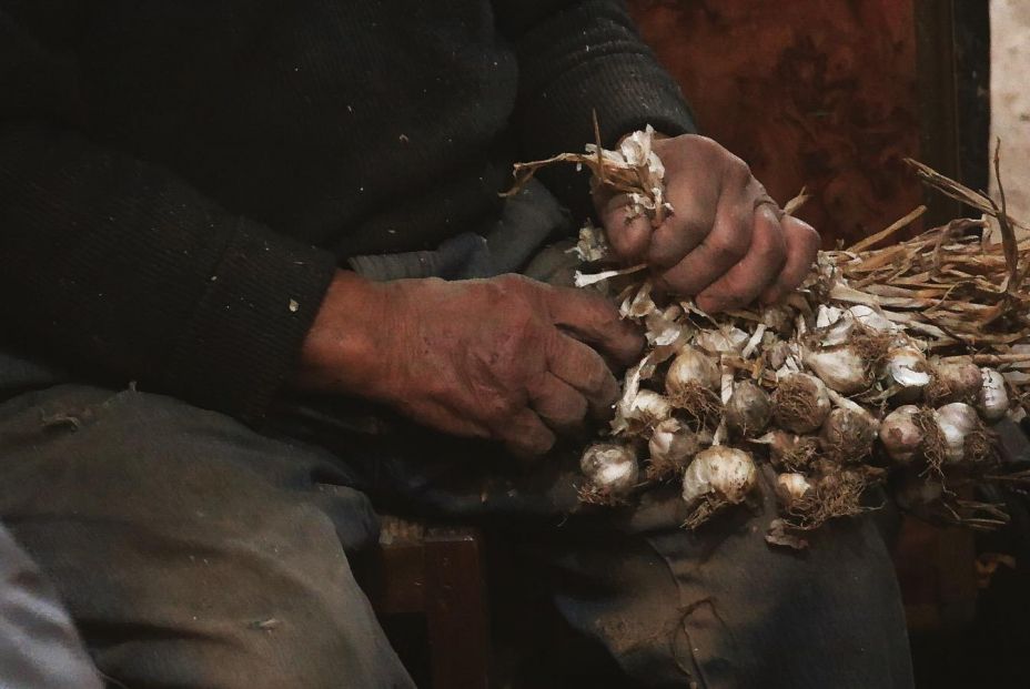 Miriam Hernández: “Solo los agricultores mayores cultivaban ajo fino de Chinchón, no se debe perder”. Foto: Mmiriam Hernández