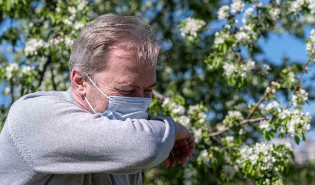 La Comunidad de Madrid usa IA para prever los niveles de polen con cinco días de antelación (Europa Press)