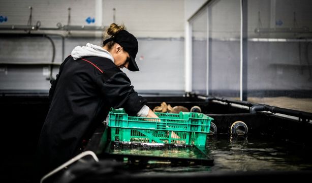 Incluir los contratos parciales en el cálculo de la pensión aflora 11.000 nuevos pensionistas al mes