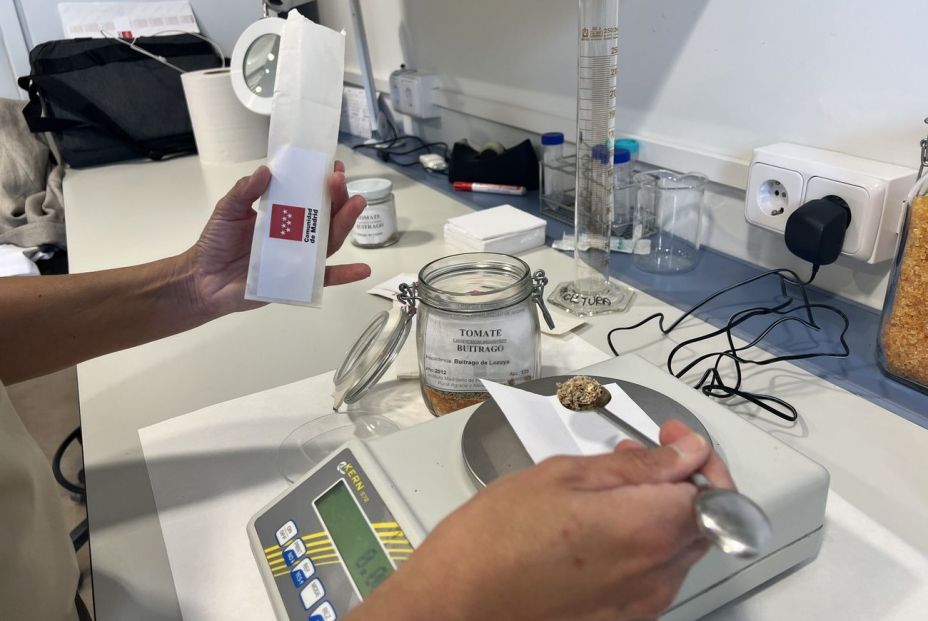 Trece especies de tomates y cereales de Madrid se han incorporado al Banco Mundial de Semillas (Comunidad de Madrid)