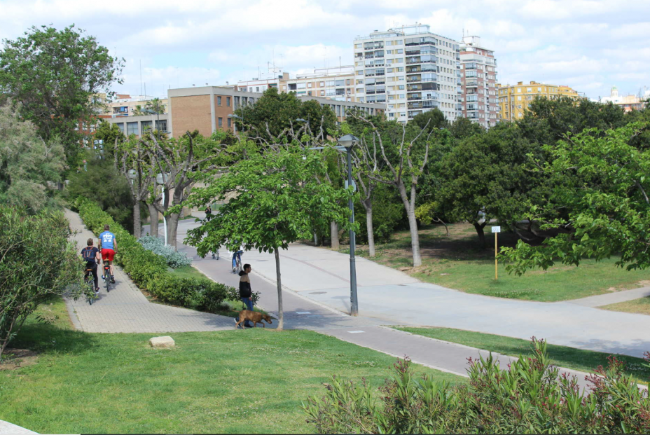 Actividades gratuitas para las personas mayores en Valencia (Comunitat Valenciana)