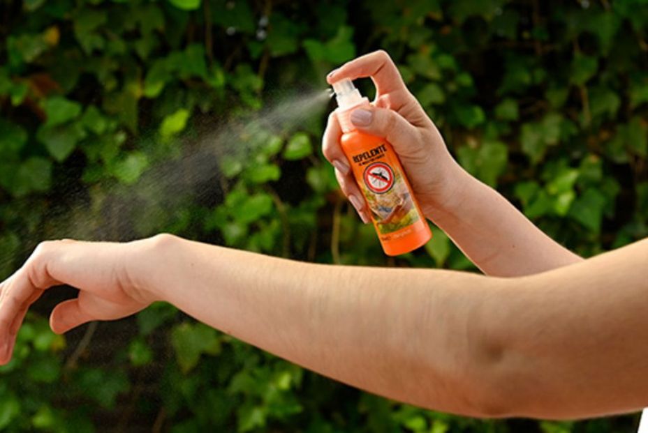 Antimosquitos en Mercadona: los productos que te salvarán este verano (Mercadona) Antimosquitos en Mercadona: los productos que te salvarán este verano (Mercadona)