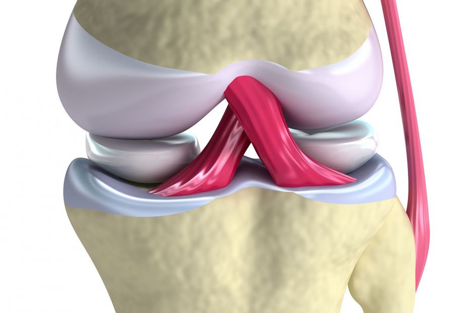 El peso, la masa muscular, los impactos y la postura son claves para prevenir lesiones de meniscos (Big Stock) El peso, la masa muscular, los impactos y la postura son claves para prevenir lesiones de meniscos (Big Stock)