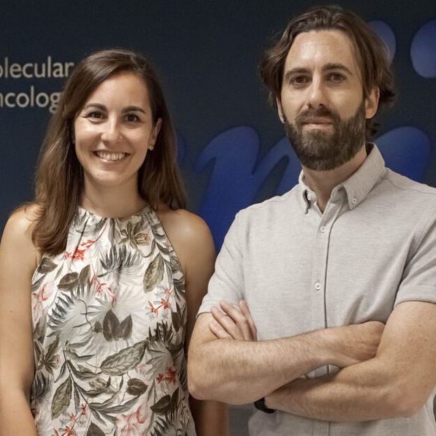 Nuestras células perciben un exceso de nutrientes incluso con una dieta normal. Ana Ortega-Molinay Alejo Efeyan. Fuente, CNIO. 