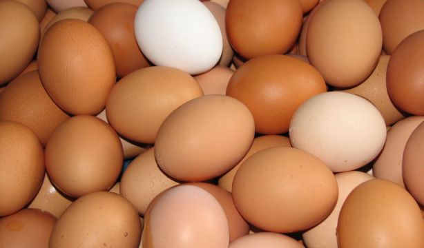 La razón por la que no hay huevos blancos en los supermercados (Bigstock)