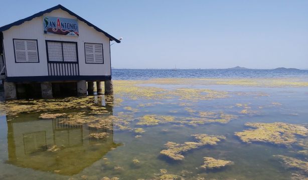 Banderas negras: estas son las 48 playas españolas más contaminadas de 2024 (Europa Press)