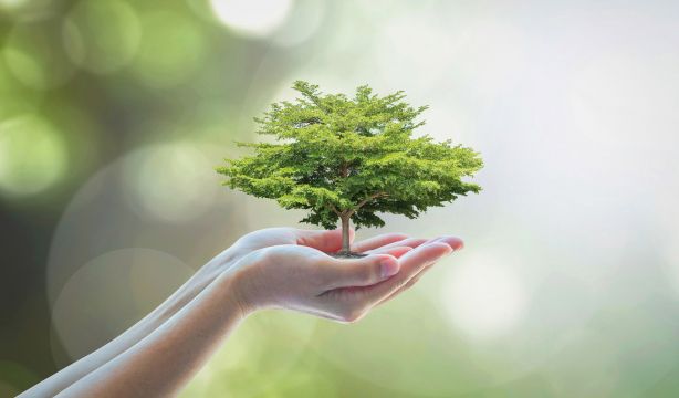 Grupo Albia abre la convocatoria de los I Premios Albia de Sostenibilidad en el sector funerarioGrupo Albia abre la convocatoria de los I Premios Albia de Sostenibilidad en el sector funerario