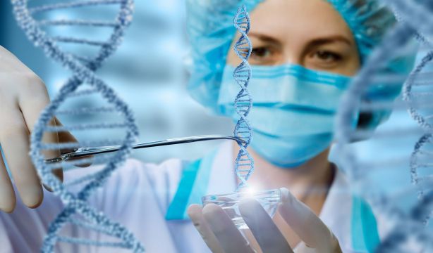 Descubren 16 genes esenciales para la memoria a largo plazo