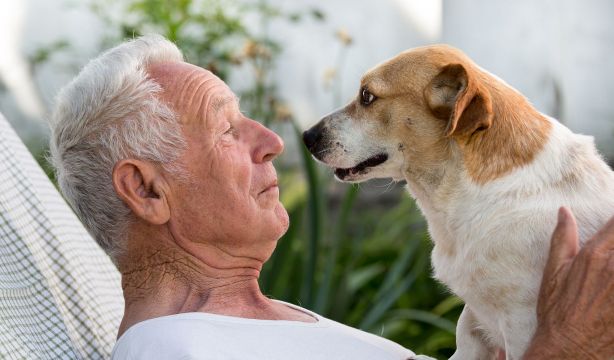 Viajes del Imserso 2025-2026: por primera vez se podrá viajar con mascotas