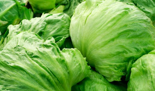 El truco para que la lechuga se mantenga fresca durante más tiempo (Bigstock)