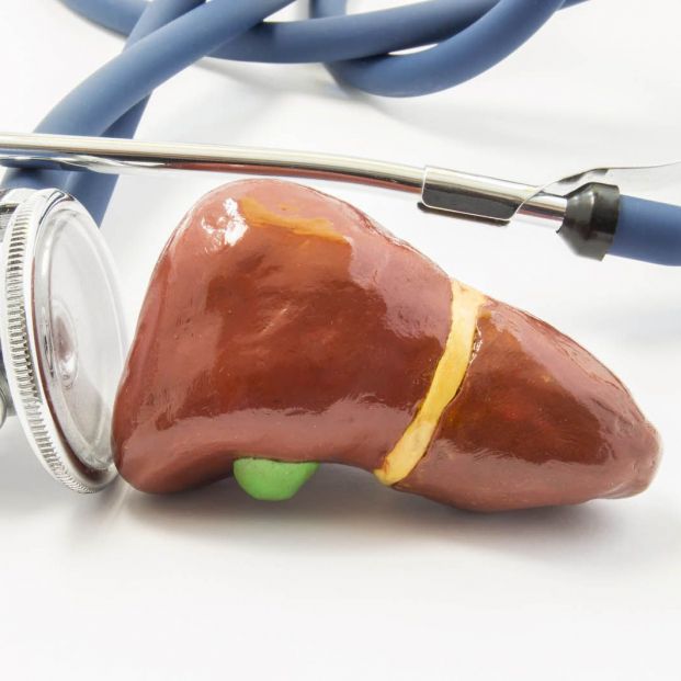 Cuáles son los factores que influyen en la aparición del hígado graso Cuáles son los factores que influyen en la aparición del hígado graso