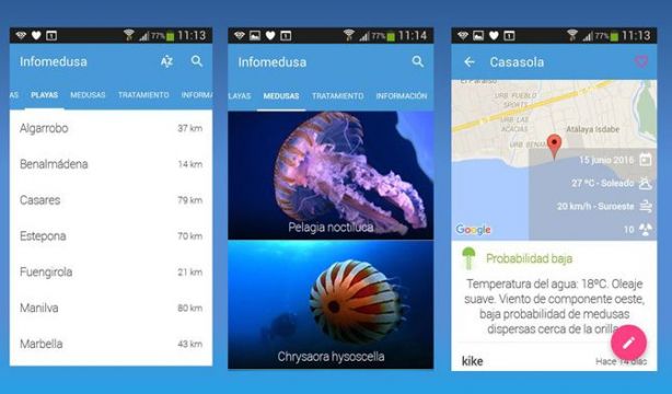 Infomedusa Infomedusa