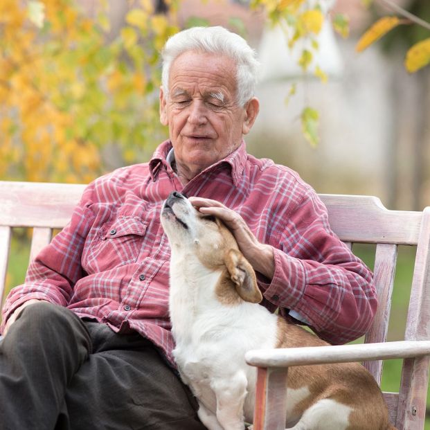 Descubre todo lo que una mascota puede hacer por tu salud mental y física