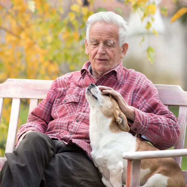 Descubre todo lo que una mascota puede hacer por tu salud mental y física