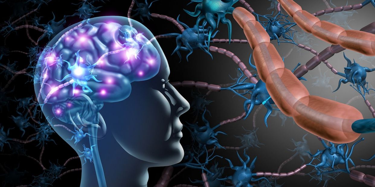 Un nuevo modelo de predicción para el Alzheimer que acerca cada vez más un trato más personalizado (Big Stock)