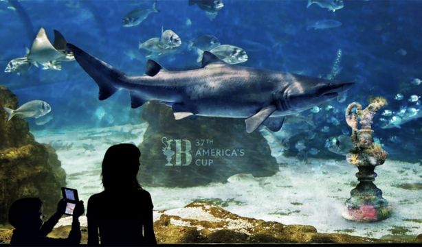 BCN Port Innovation gana el proyecto de sostenibilidad de la Copa América