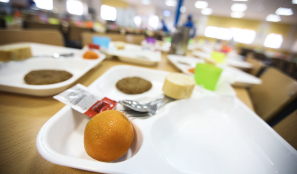 Desmantelan tres cárteles de suministro de alimentos a hospitales, residencias y cárceles