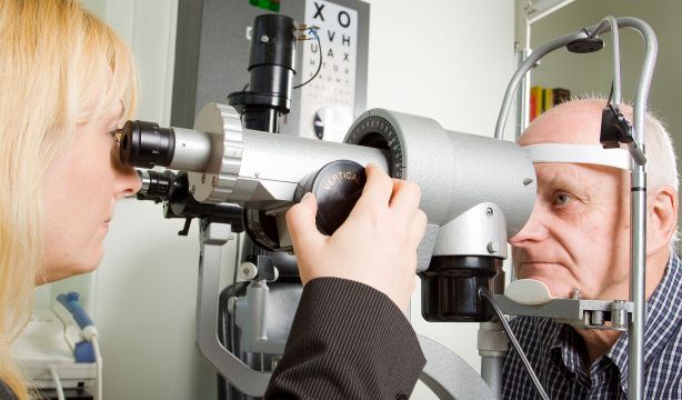 Un suplemento de antioxidantes ralentiza la progresión de la DMAE tardía