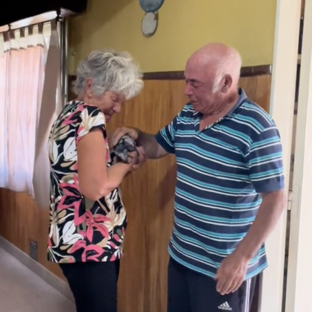 sorpresa abuelos perdieron mascota