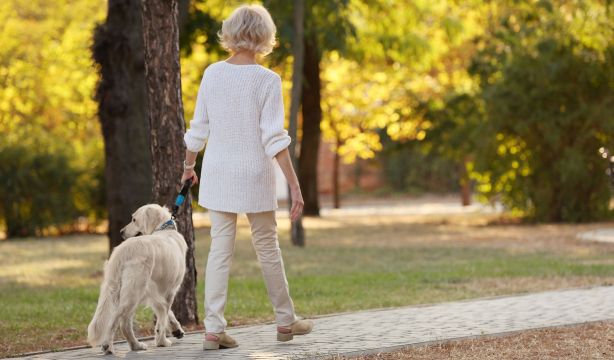 El olor del estrés humano afecta a las emociones de los perros (BigStock)