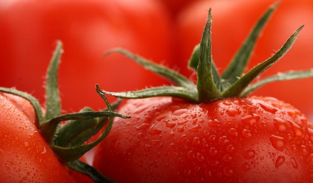Los alimentos con más agua para hacer frente a la deshidratación en verano