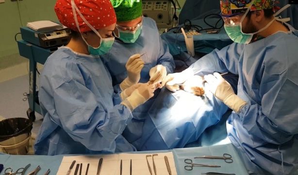 Cómo consultar la lista de espera para operarse en la Región de Murcia (Europa Press)