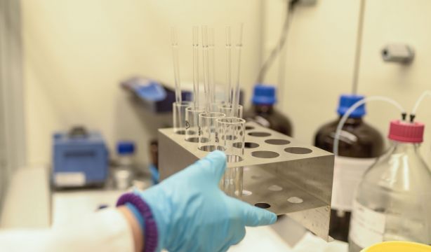 Un estudio asocia por primera vez el anisakis con el cáncer de colon (Europa Press)