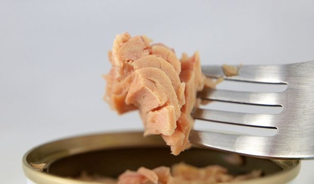 ¿Se puede congelar el atún comprado en latas? (Bigstock)