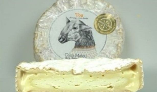 Alerta alimentaria por salmonella: piden retirar todos los lotes de este queso