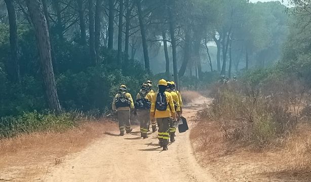 Cómo reclamar si has sido afectado por un incendio forestal