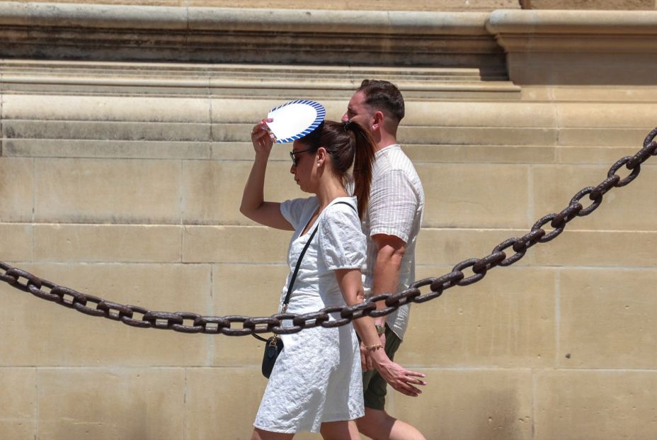 ¿Golpe de calor o insolación? Así puedes diferenciarlos (Europa Press) ¿Golpe de calor o insolación? Así puedes diferenciarlos (Europa Press)