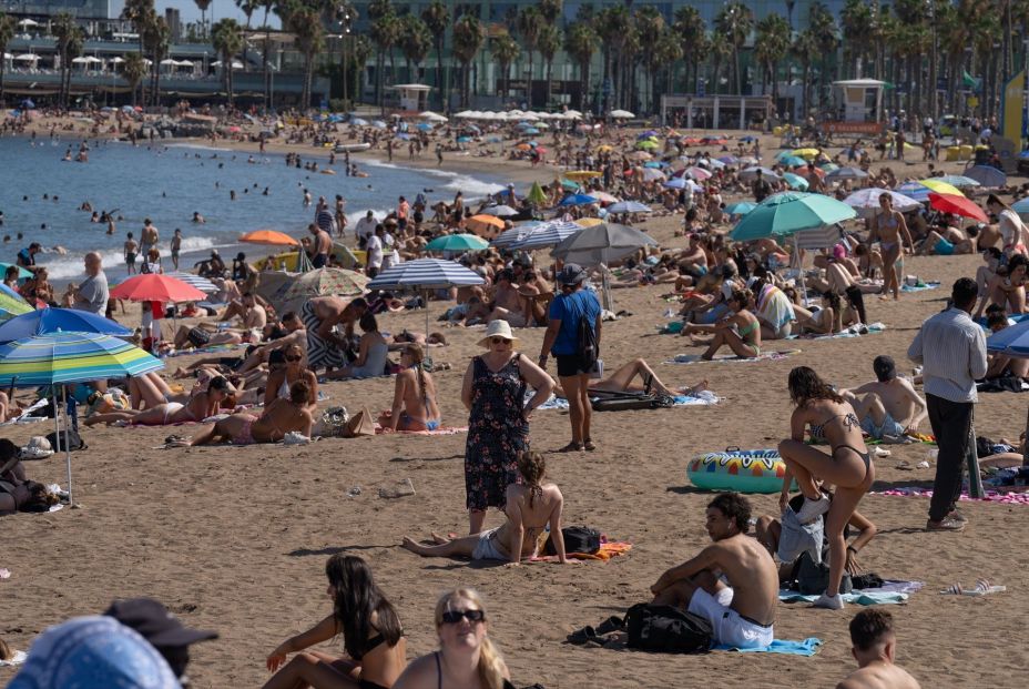 Alerta en las playas españolas por la presencia de este pez venenoso (Europa Press) Alerta en las playas españolas por la presencia de este pez venenoso (Europa Press)