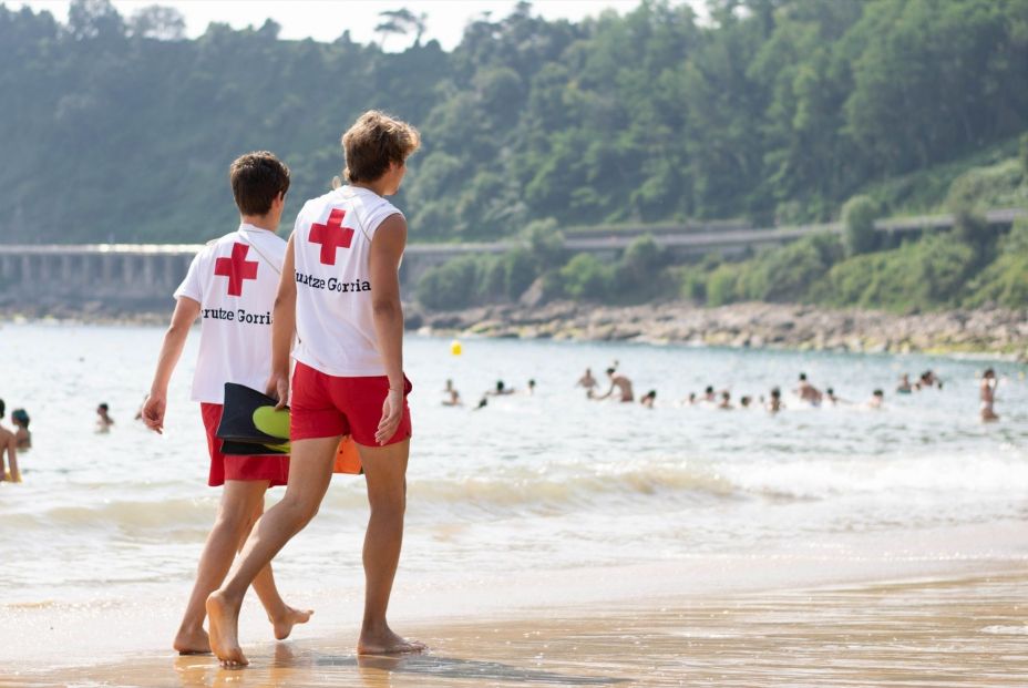 Alerta en las playas españolas por la presencia de este pez venenoso (Europa Press) Alerta en las playas españolas por la presencia de este pez venenoso (Europa Press)