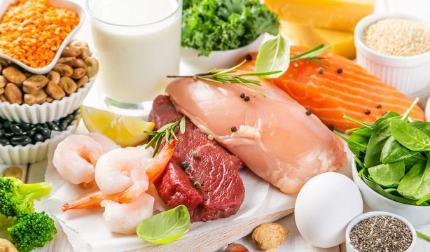 ¿Qué es mejor para nuestra salud, la proteína vegetal o la de origen animal?