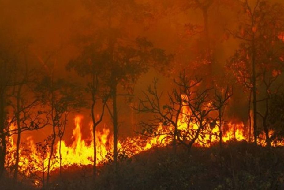 El cambio climático aumentó el riesgo de grandes incendios forestales en 2023. EuropaPress El cambio climático aumentó el riesgo de grandes incendios forestales en 2023. EuropaPress