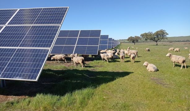 UNEF lanza el concurso Photovoltaica para dar a conocer la integración ambiental de la energía solar (Europa Press)